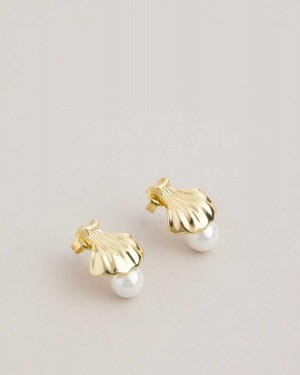 Ted Baker Callien Clam Shell Stud Earrings Gold Colour | 47208-AZOU