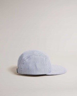 Ted Baker Declann Pinstripe Cap Grey | 67915-FKRQ