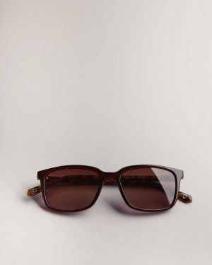 Ted Baker Farlei Classic Tortoiseshell Frame Sunglasses Dark Red | 64731-RVTZ