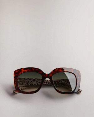 Ted Baker Haattie Chunky Cat Eye Frame Sunglasses Tortoiseshell | 09382-ZLPF