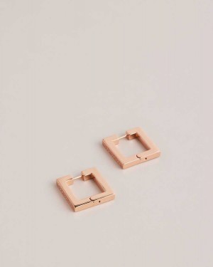 Ted Baker Saadiey Large Square Hinge Earrings Rose Gold Colour | 25416-NKEJ