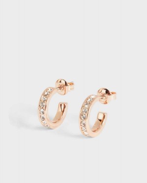 Ted Baker Seenita Nano Hoop Huggie Earrings Rose Gold Colour | 87342-BFTL