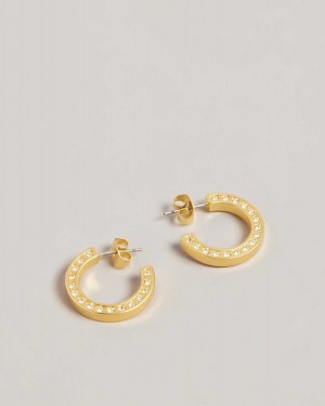 Ted Baker Senatta Crystal Hoop Earrings Gold Colour | 25903-VLHB