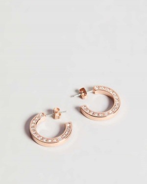 Ted Baker Senatta Crystal Hoop Earrings Rose Gold Colour | 78645-EDYV