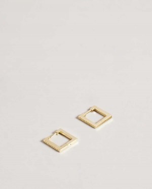 Ted Baker Senrii Small Square Hinge Earrings Gold Colour | 64579-XOUG