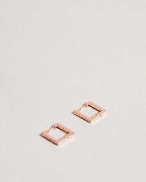 Ted Baker Senrii Small Square Hinge Earrings Rose Gold Colour | 07934-TSAW