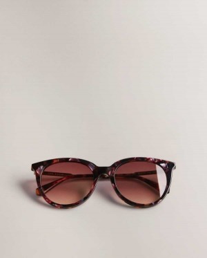 Ted Baker Suzyy Crystal Embellished Cat Eye Sunglasses Tortoiseshell | 38412-DTEG