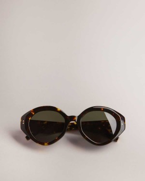 Ted Baker Zaadiey Chunky Circle Frame Sunglasses Tortoiseshell | 08367-ICMR