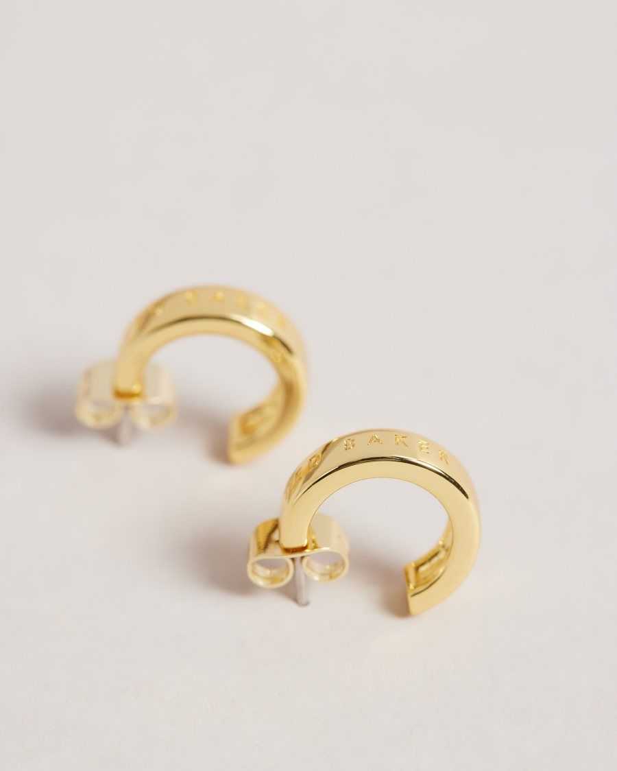 Ted Baker Helanna Small Hoop Earrings Gold Colour | 59681-JYTW