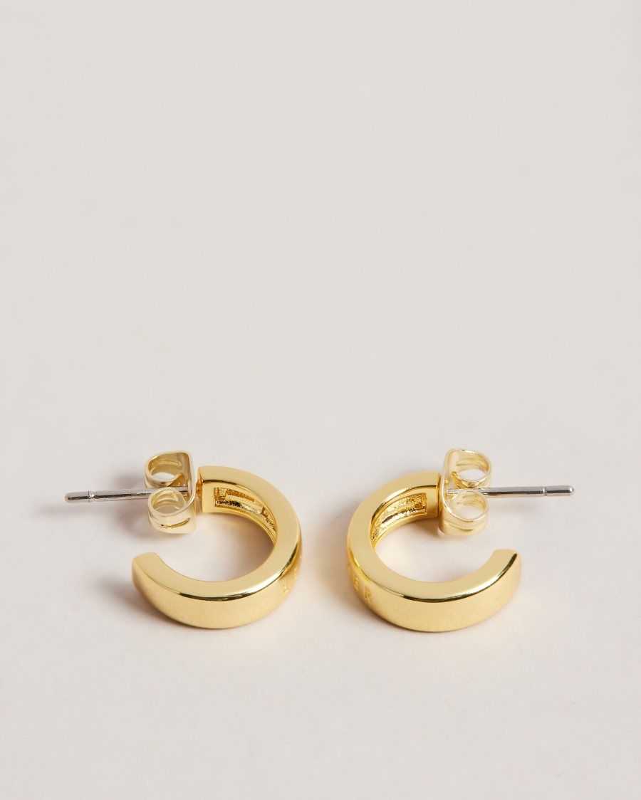 Ted Baker Helanna Small Hoop Earrings Gold Colour | 59681-JYTW