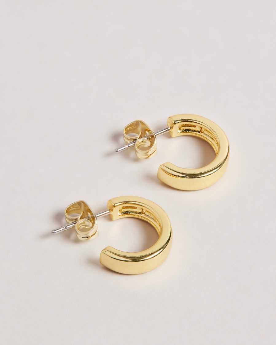 Ted Baker Helanna Small Hoop Earrings Gold Colour | 59681-JYTW