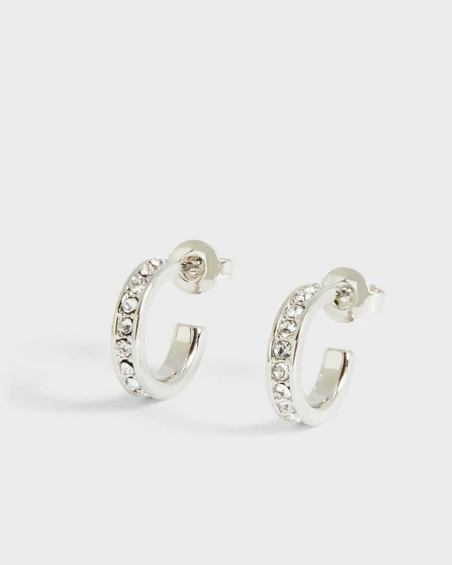 Ted Baker Seenita Nano Hoop Huggie Earrings Silver Colour | 37958-LEUX