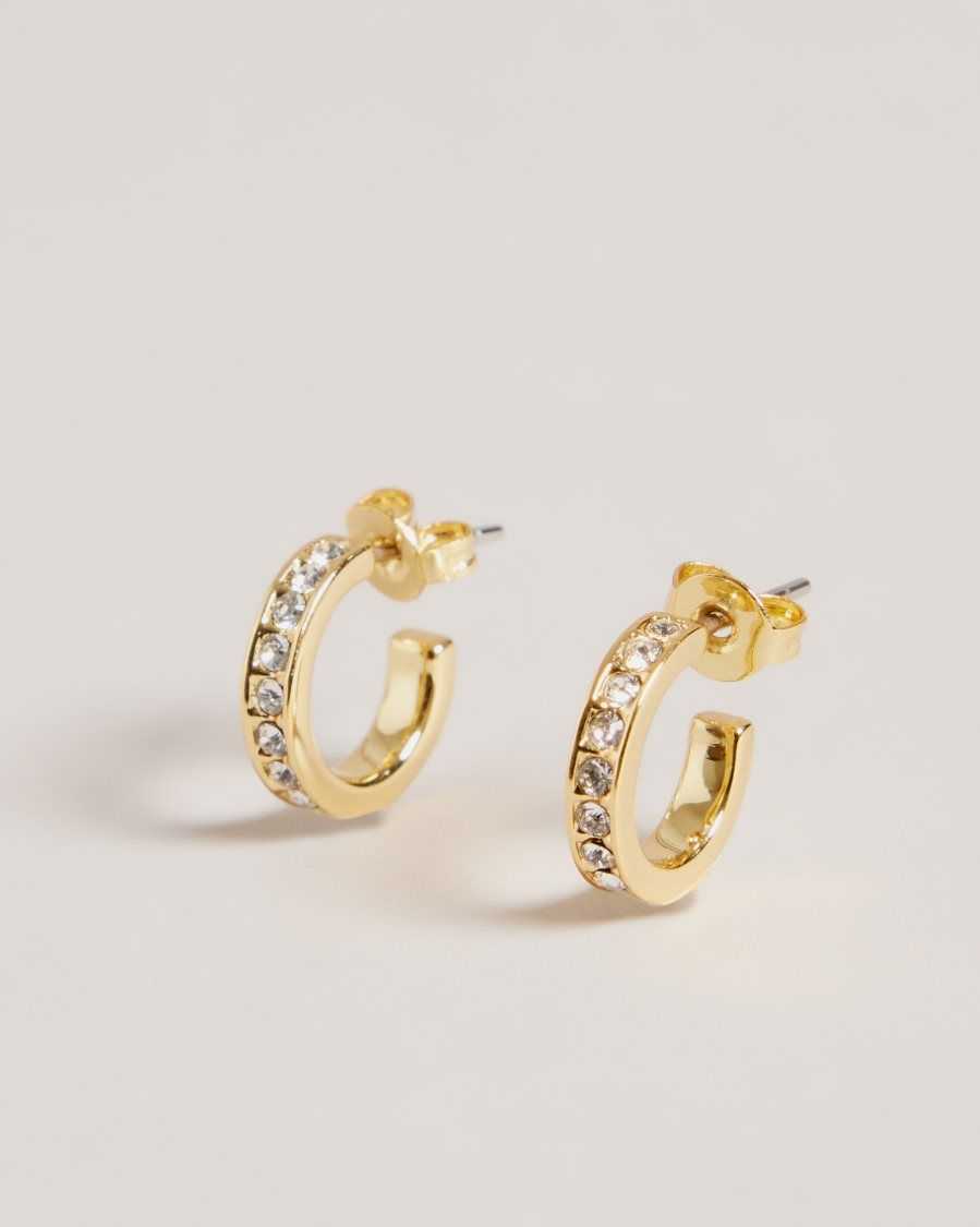 Ted Baker Seenita Nano Hoop Huggie Earrings Gold Colour | 53891-OYHP