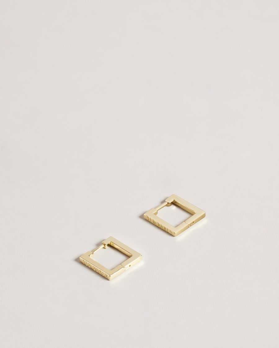 Ted Baker Senrii Small Square Hinge Earrings Gold Colour | 64579-XOUG