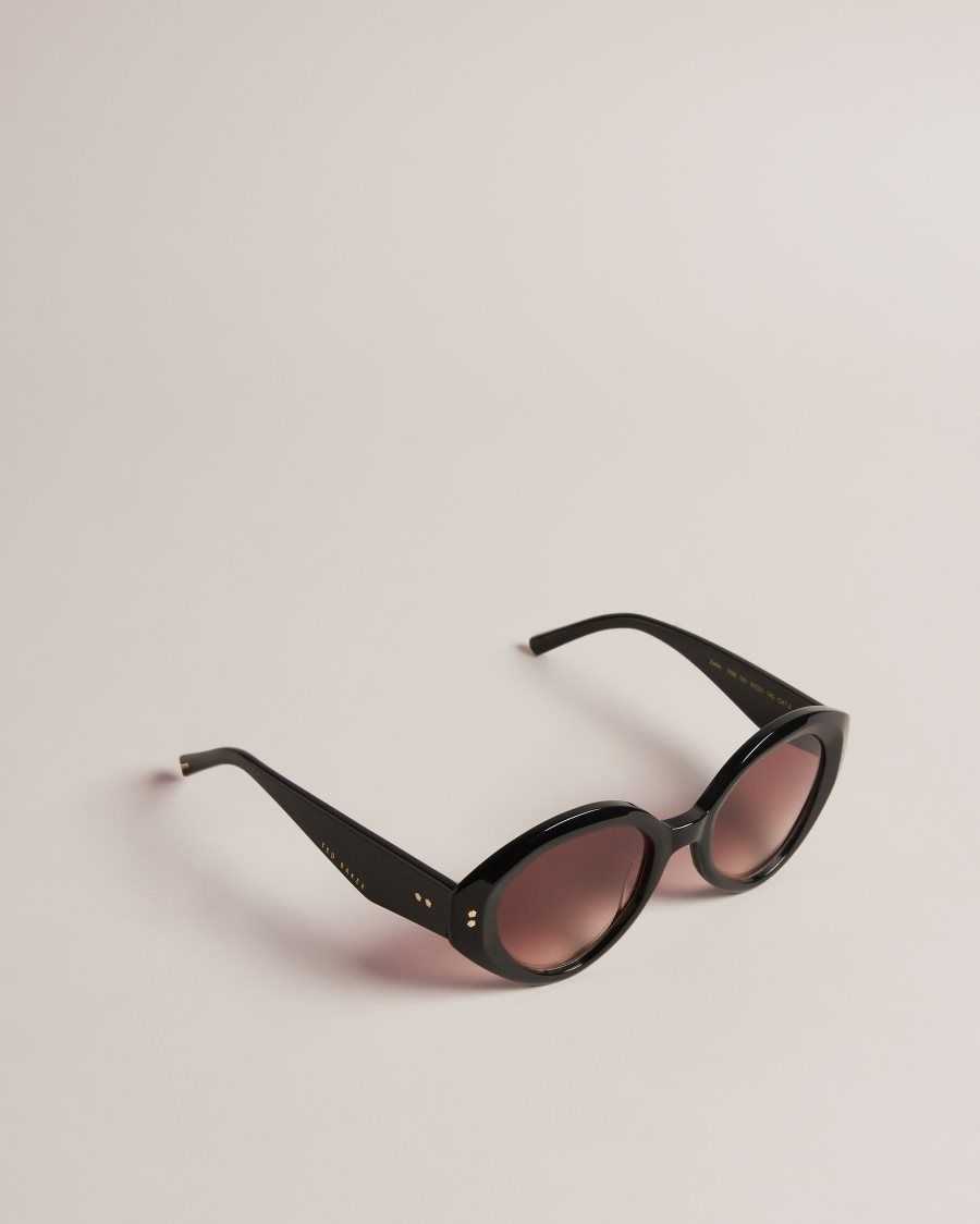 Ted Baker Zaadie Chunky Circle Frame Sunglasses Black | 74691-KCXM