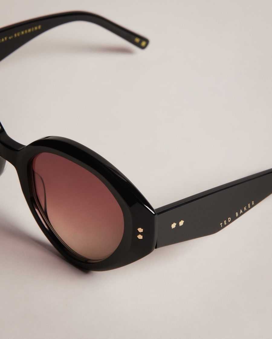 Ted Baker Zaadie Chunky Circle Frame Sunglasses Black | 74691-KCXM