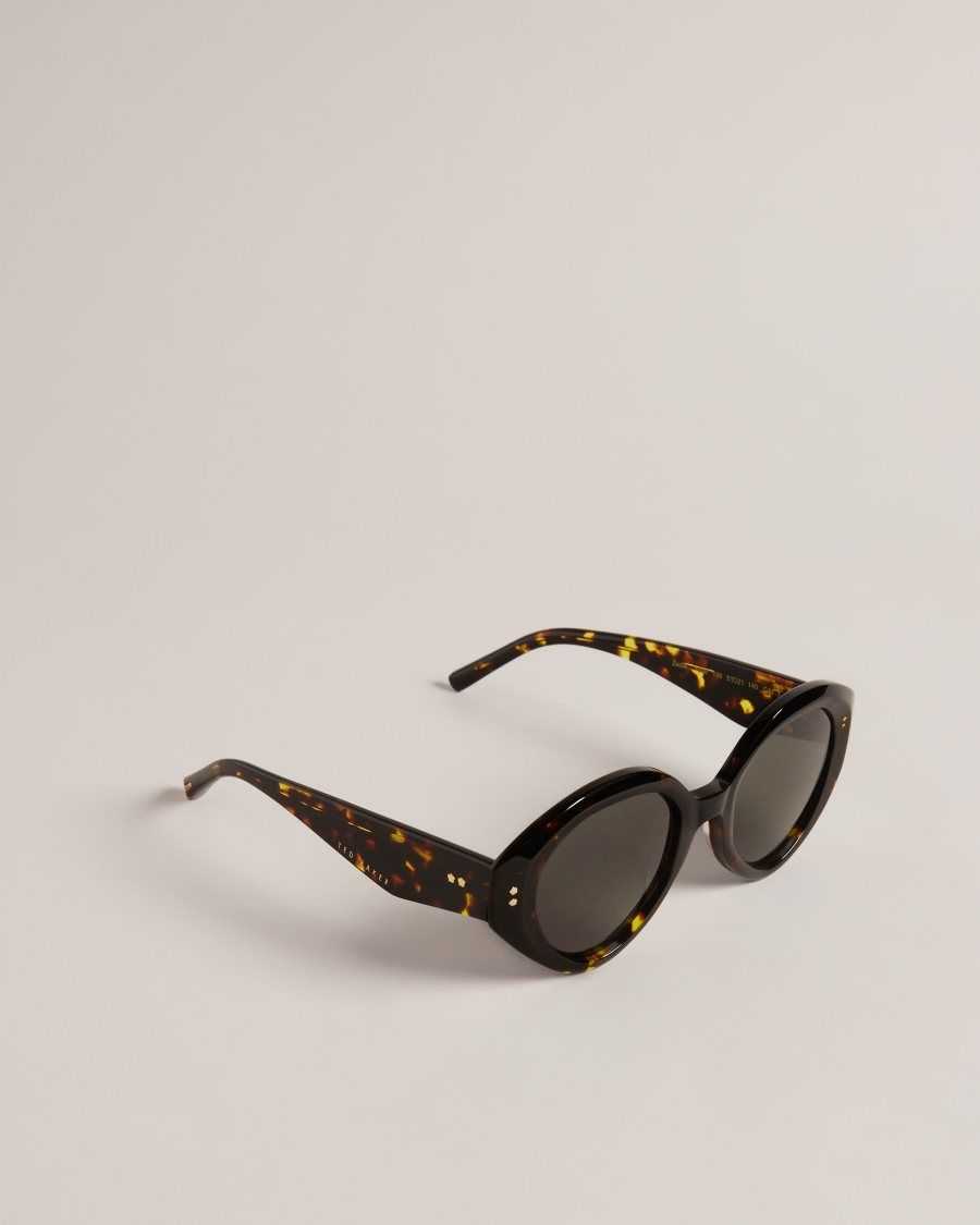 Ted Baker Zaadiey Chunky Circle Frame Sunglasses Tortoiseshell | 08367-ICMR