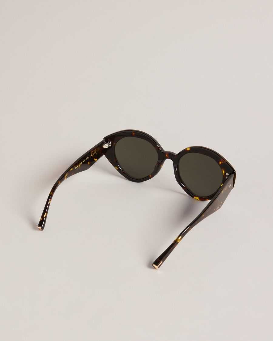 Ted Baker Zaadiey Chunky Circle Frame Sunglasses Tortoiseshell | 08367-ICMR